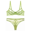 Conjunto de lencería de encaje bordado verde hierba con sujetador con aro y tanga a juego - 70B / Verde Hierba