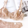 Elegantes beiges Spitzen-Dessous-Set mit dünnem Cup-BH und passendem Spitzenhöschen - 70A / Hautfarben