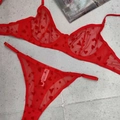 Macro detail of red lace lingerie set featuring sheer heart pattern and wash label - S / Red