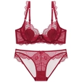 Conjunto de lencería de encaje rojo oscuro con bordado floral y tirantes ajustables - 70A / Burdeos