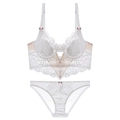 Franse witte wimperkant lingerie set met roze bloemendetails en bijpassende slip - S / Boven- en onderkant / Met Slip / Wit