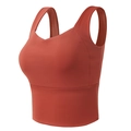 Soutien-gorge de sport rouge brique à larges bretelles et col en V sans couture pour yoga - Rouge Brique