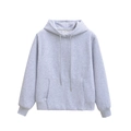 Close-up of light grey hoodie with drawstring hood, kangaroo pocket and size S neck label - S / Sky Blue Top