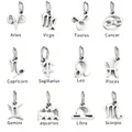 Polished stainless steel 12 zodiac constellation charms set for DIY jewelry pendants - 12 Zodiac Signs Set (12pcs) / Steel