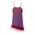 Detailaufnahme des Kleides mit rosa-violettem Farbverlauf, Pailletten und Federbesatz - S / Rosa Violett Verlauf