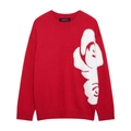 Pull en tricot rouge pour femme avec grand motif floral en peluche blanche détaillé - S / Rouge