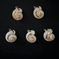 Set of 5 natural spiral shell pendants with gold plated edges for DIY jewelry making - Snail Conch