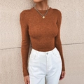 Detail of caramel ribbed knit sweater texture with round neck and tight fit design - Caramel
