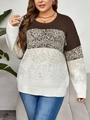 Dettaglio maglione in maglia da donna color-block con patchwork strutturato marrone e beige - 3XL / Blocco di Colore Cachi
