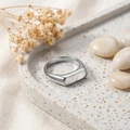 Macro view of silver stainless steel ring with white shell inlay on stone tray - Silver-White Mother of Pearl / Size 5