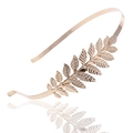 Rose gold metallic headband featuring elegant double-row leaf branch design and polished finish - fg009 Gold Hairband