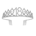 Diadème argenté pour 18e anniversaire avec strass et peignes de fixation stables - 18 Ans Argent
