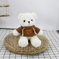 White plush teddy bear wearing a brown drawstring hoodie sitting on a straw cushion - White (Brown Bear Hoodie)