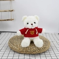 White teddy bear plush toy wearing a red hooded sweater with bear embroidery detail - White (Red Bear Hoodie)