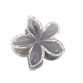 Smoky grey 4cm transparent glitter plumeria hair claw clip with metallic spring - Grey with Glitter Edge