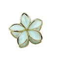 Light green floral hair claw clip with golden metal frame and transparent glitter finish - Gold Edge Blue