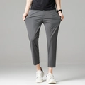 Men's slim-fit gray ankle pants in high-stretch ice silk fabric for business casual - Light Gray Ankle-length / 38