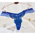 Royal blue lace thong with butterfly embroidery and satin details on a rose gold hanger - One Size / NK1209 Style (NK1209-蓝色) / Blue