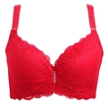 Red full cup lace bra with floral embroidery and rhinestones, supportive wide straps - 38/85C / Red