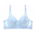 Light blue floral lace push-up bra with 3/4 cups and delicate silk bow detail - 34/75B / Tops / Lake Blue