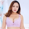 Lavender plus-size lace bra with wide straps and floral embroidery for full coverage - 70B / Tops / Light Purple