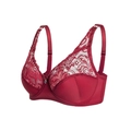 Elegante sujetador de encaje rojo vino con copa completa y correas ajustables - 34/75C / Burdeos