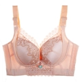 Lace embroidery minimizer bra in beige featuring wide straps and butterfly charm - 34/75A Padding / Tops / Nude