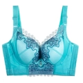 Lace embroidery minimizer bra in lake blue with wide side wings for support - 34/75A Padding / Lake Blue