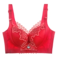 Red plus size lace bra with embroidery detail and butterfly pendant on white background - 34/75A Padding / Tops / Red