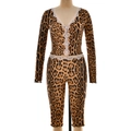 Zweiteiliges Set mit Leopardenmuster, V-Ausschnitt, Spitzenbesatz und schmaler Leggings - S / Leopardenmuster