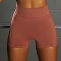 Seamless rust red high-waisted yoga shorts with ribbed texture for fitness workout - S / Shorts / Rust red