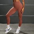 Seamless high-waisted yoga leggings in terracotta red for athletic fitness training - S / Pants / Rust red