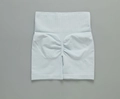 Light blue high waisted seamless yoga shorts with scrunch butt and wide ribbed waistband - G9510 Gray-blue Shorts / S