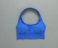 Royal blue seamless halter yoga bra with ribbed hem for athletic support - G9510 Blue Halter Neck Bra / S