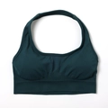 Deep green seamless halter-neck sports bra with wide ribbed waistband for fitness - G9510 Dark Blue Halter Neck Bra / S