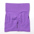 Seamless purple high-waisted gym shorts with scrunch butt lifting detail for women - G9510 Purple Shorts / S
