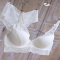 Completo intimo in pizzo bianco con reggiseno push-up e ricami floreali su stampella - Beige / 70B