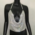 Dettaglio del crop top con paillettes argentate con scollo a U profondo e rete drappeggiata - Argento Stile 1