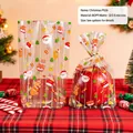 Christmas Santa Claus pattern frosted BOPP gift bag showing apple packaging effect - Christmas Theme Style P026 - Small