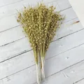 Detailed view of champagne gold glitter artificial berry stems on a white wooden surface - Gold