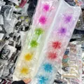 Transparent Gradient Color Style (11#)