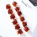 Set de 12 mini pinzas para el cabello de mariposa en resina ámbar con acabado elegante - Mariposa Café Juego