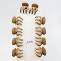 Set di 10 mini mollette per capelli opache color kaki misura 2cm per acconciature - Molla Piccola a Zucca / Cachi