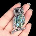 Silver owl pendant necklace featuring iridescent abalone shell inlay and black gem eyes - Abalone Shell