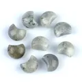 Set de nueve mini piedras de labradorita gris natural con forma de luna creciente - Labradorita