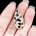 Dalmatiër Jaspis facetgeslepen druppel hanger met natuurlijke vlekken voor DIY sieraden - Dalmatijnse jaspis