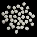 Perle a rosa in ABS bianco lucido con fori laterali per gioielli fai-da-te e artigianato - 12*12.5mm (50 Pezzi/Confezione) / Bianco Sporco