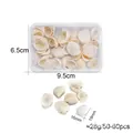 Natural white scallop shell set for DIY jewelry making in a 9.5x6.5cm plastic box - Natural Small White Shell