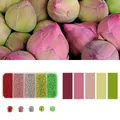 5-grid 2mm acrylic bead set in pink, red and green shades for DIY jewelry making - 2.0mm / In Bud (Red Pink Green Gray Tone Combination)