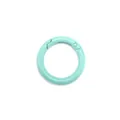 Anneau ressort en alliage de zinc vert menthe pour porte-clés et accessoires - 25*3.7mm (Pack de 5) / Vert Lac